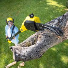 Best Organic Lawn Care Solutions  in Secaucus, NJ