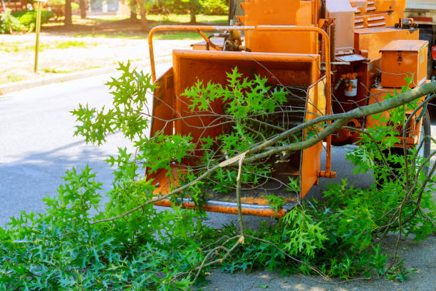 Best Soil Testing and Treatment  in Secaucus, NJ