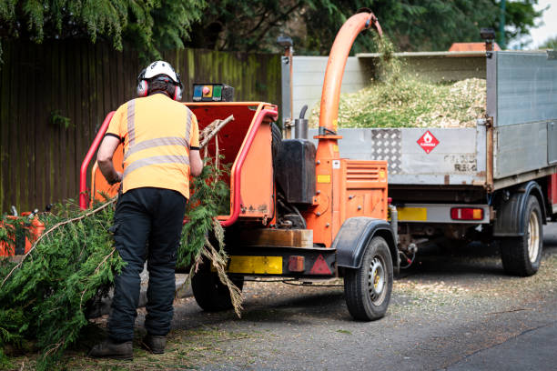 Best Lawn Watering Services  in Secaucus, NJ